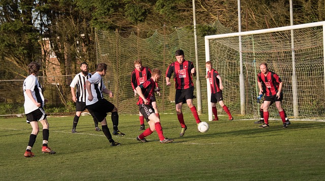 耳曼对内马 耳曼对内马