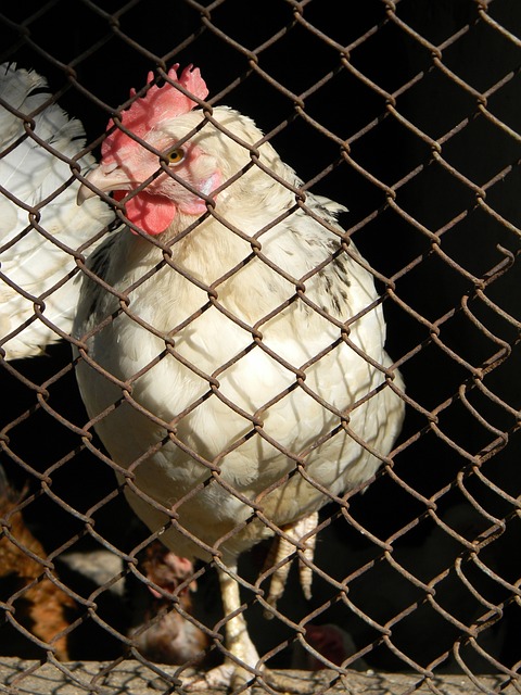 究竟是什么 究竟是什么