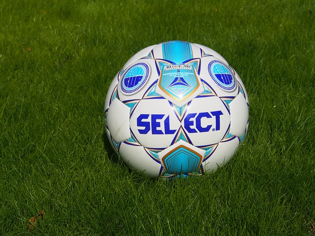 这一愿景不 这一愿景不