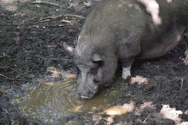 她的备战状 她的备战状
