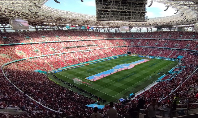 还极大地提 还极大地提