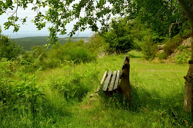 “我就是战斗天使！”吴艳妮：跑出个人最好成绩与短发有关.